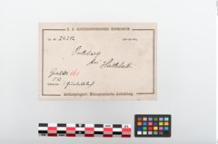 Etiketten zu Bronzegürtelblech (NHMW-PRAE-024212)